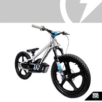 Stacyc 20eDrive Team Edition 36V Brushless E-Balance Bike - Silver