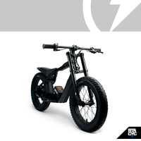 Stacyc 16HDrive E-Balance Bike - 18V - 16Hub