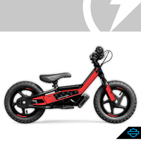 H-D IRONe XG-R Graphic Kit - Orange