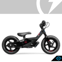 H-D IRONe #1 Graphic Kit - Grey
